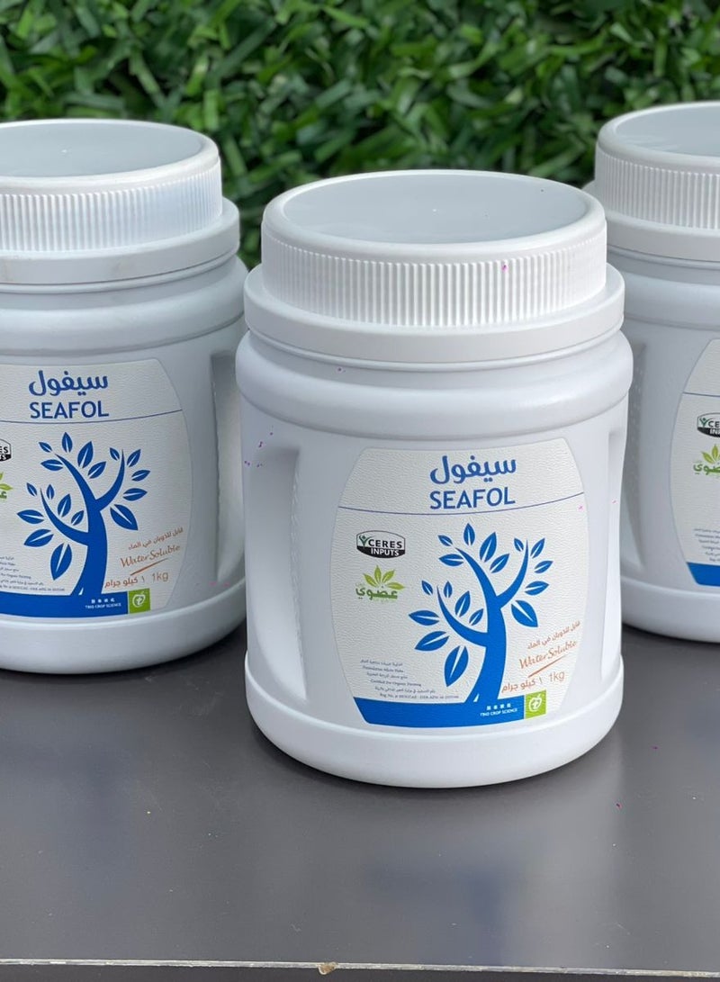 أوزون سيفول - Image 1