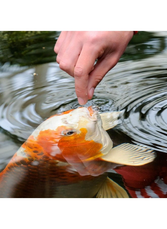 TetraPond Pond Sticks, Pond Fish Food, for Goldfish and Koi, 1.72 Pounds - pzsku/Z747EC50D9F676F2275E0Z/45/_/1737032048/5ed55c8f-625b-476a-83c5-347562e1854a