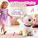HCdoujoy Colorful Walking Cat for Kids Kitten Toys Girls That Purrs and Meows Animated Plush Robot Kitty with Leash Moving Plush Stuffed Animal Remote Control Singing Robotic Kitty Electronic Pet for Baby - Image 4