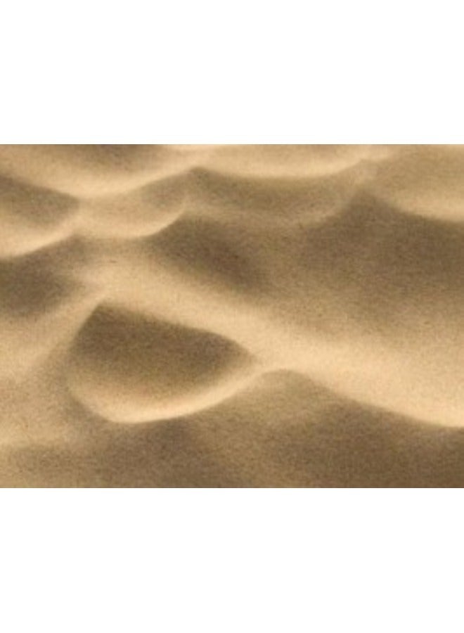 PARADISOTOYS Non Toxic Non Staining Safe CleanSterile Play Sand 15Kg Made In Belgium For Childrens Kids Toy Best use for Outdoor - Image 2