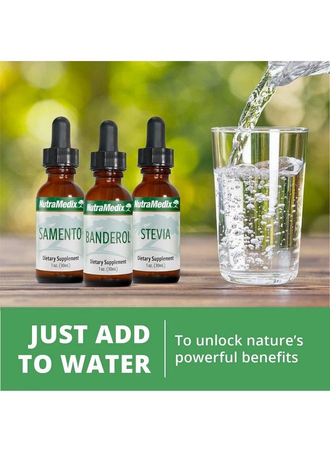 Nutramedix - Hyssop Herbal Drops Gentle Ezov Liquid Supplement Drops For Stress Management Relaxation Antioxidant  Gut Health Liquid Herb Extract For Emotional  Mood Support 1Oz  30Ml - Image 1