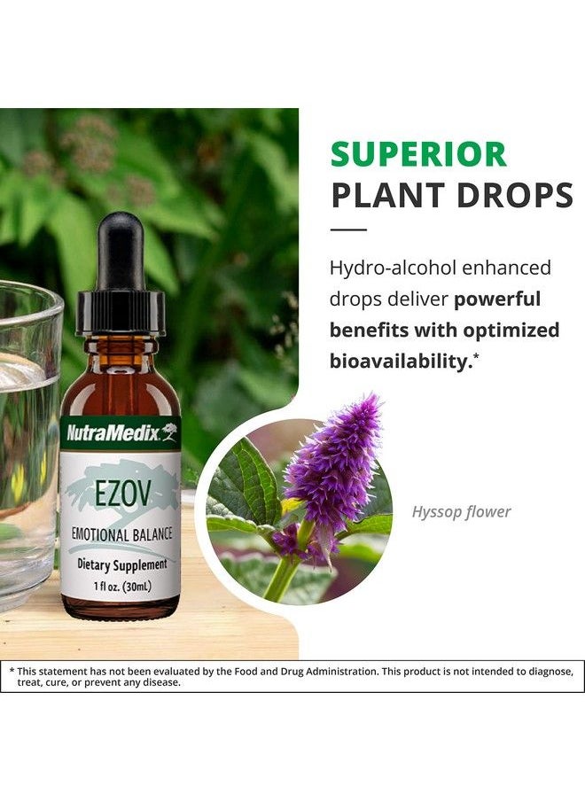 Nutramedix - Hyssop Herbal Drops Gentle Ezov Liquid Supplement Drops For Stress Management Relaxation Antioxidant  Gut Health Liquid Herb Extract For Emotional  Mood Support 1Oz  30Ml - Image 1