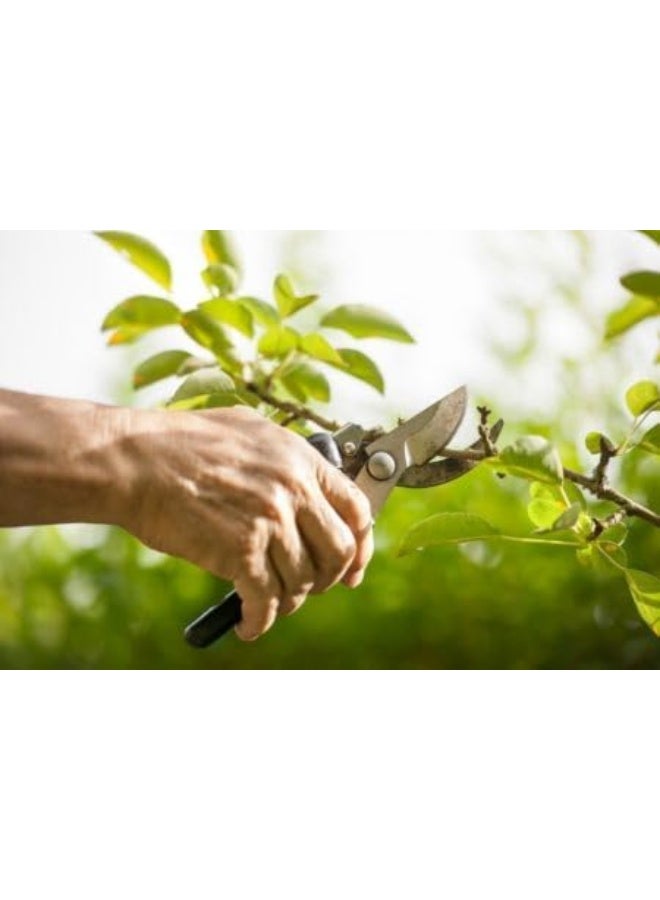 Poaker Pruning Shears Heavy Duty Garden Scissors With Soft Grip Handle Shock Absorber And Cushion Design For Effortless Cutting  - Image 5