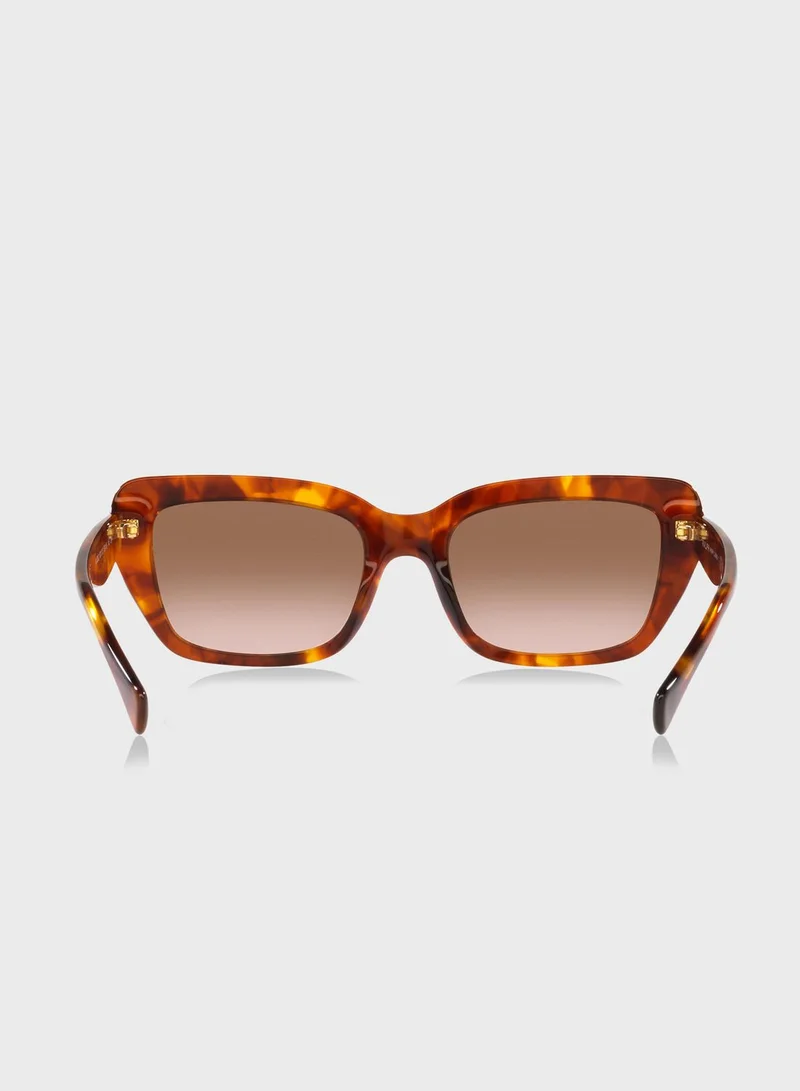 POLO RALPH LAUREN 0Ra5292 Wayfarer Sunglasses