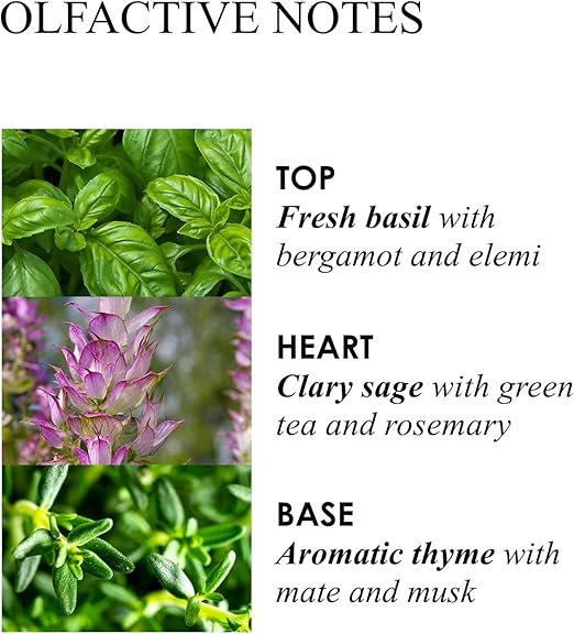 Molton Brown Refined White Mulberry Fine Liquid Hand Wash 300 ml - Image 2