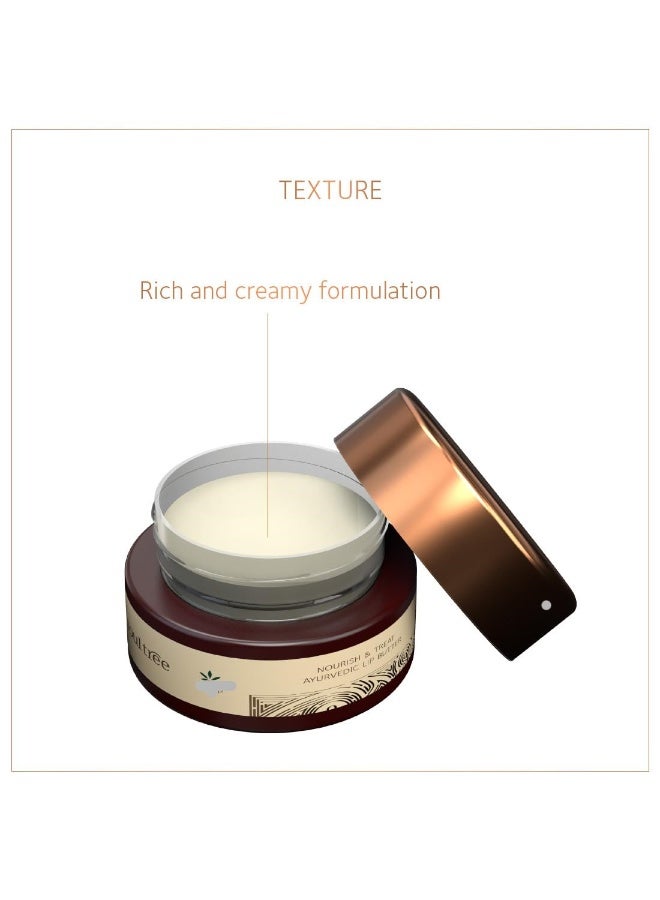 SoulTree Nourish & Treat Ayurvedic Lip Butter - 15g - Image 2