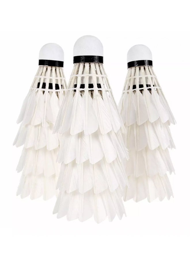 NIBEMINENT 12-Piece M10 Feather Professional Shuttlecocks - Image 1