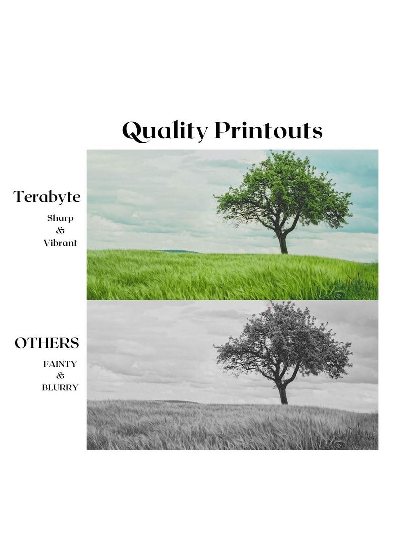 Terabyte حبر متوافق NPG67/GPR31/EXV29 (4 ألوان) سعة تيرابايت - Image 2