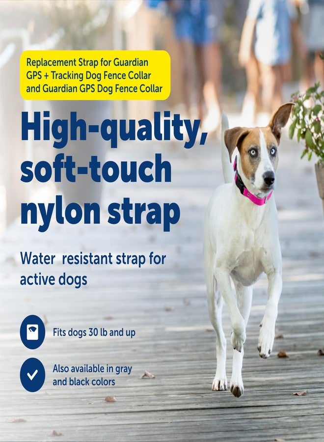 بيت سيف حزام بديل من PetSafe لطوق تتبع الكلاب Guardian GPS + وطوق تتبع الكلاب Guardian GPS - مصنوع من مادة ناعمة الملمس - مقاوم للماء - قابل للتعديل - تصميم متين - وردي - Image 2