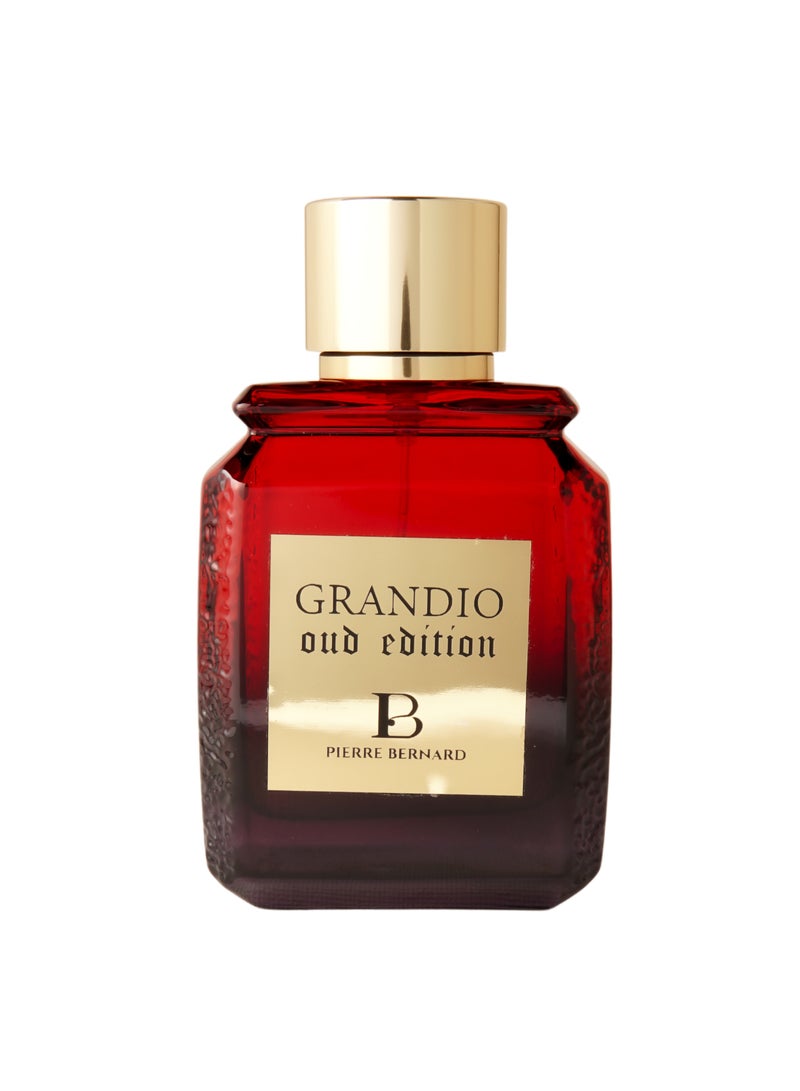 PIERRE BERNARD Grandio Oud Edition 100ml Eau De Parfum for men - Image 2