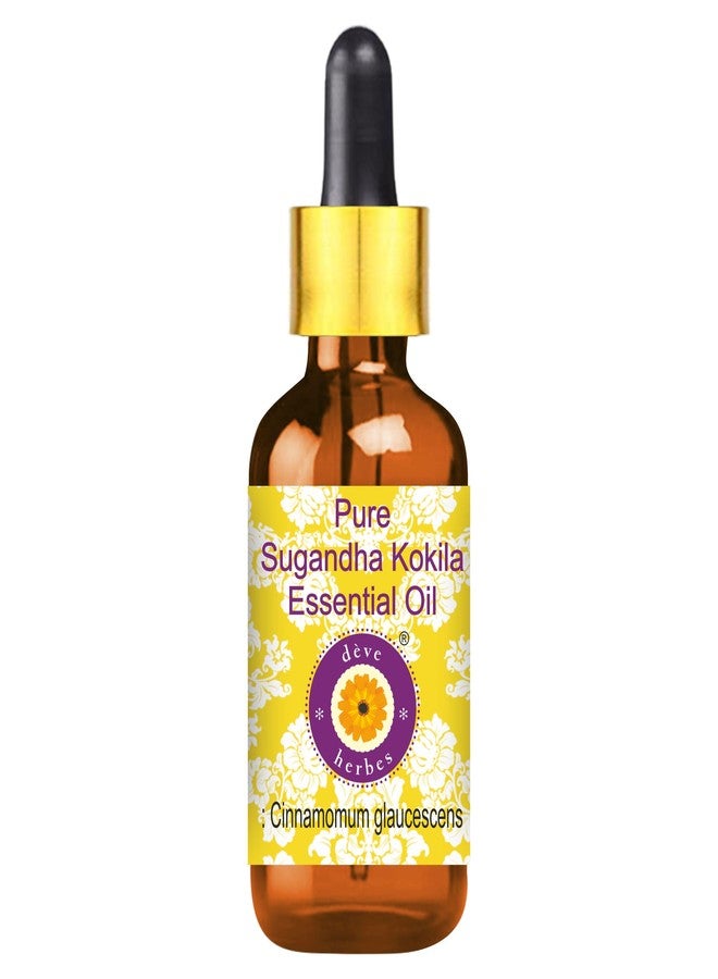 Deve Herbes Sugandha Kokila Essential Oil (Cinnamomum glaucescens) with Glass Dropper Pure | Non-Sticky | Non-greasy | Lightweight | Men & Women | All Skin Types | Steam Distilled 5ml - Image 1