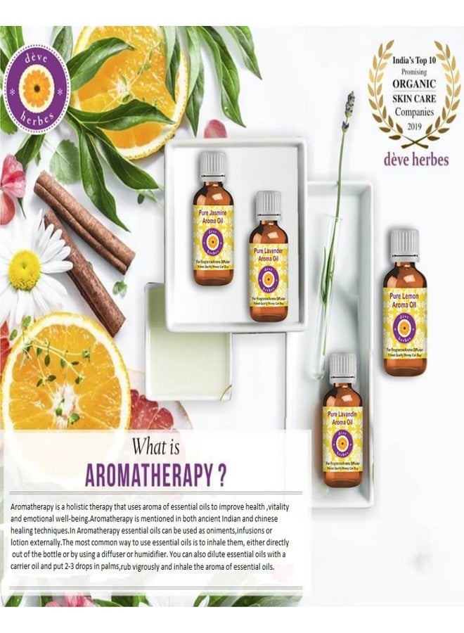 Deve Herbes Sugandha Kokila Essential Oil (Cinnamomum glaucescens) with Glass Dropper Pure | Non-Sticky | Non-greasy | Lightweight | Men & Women | All Skin Types | Steam Distilled 5ml - Image 3