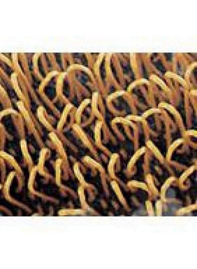 Wooster Looped Plastic Multi Purpose Heavy Textured Paint Roller Cover Brown 9 x 1/4 Inch 00R2330090 - Image 3