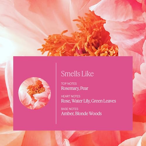 Aera Rose Home Fragrance Scent Refill Notes of Himalayan Rose Linden and Peony Works with the Aera Diffuser - Image 3