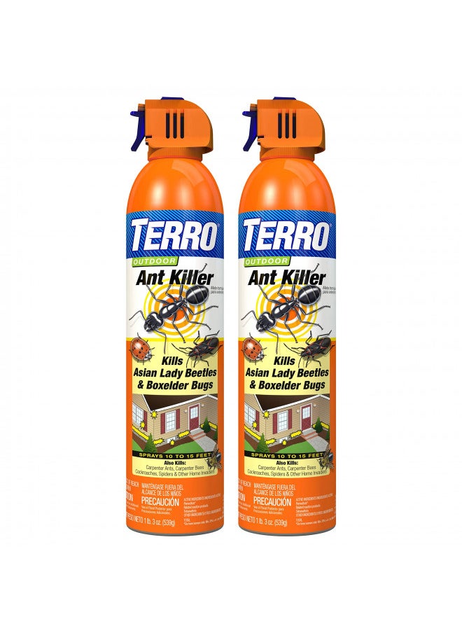 Terro TERRO T1700SR 2 Pack 19 oz Outdoor Ant Killer Spray, White  - Image 1