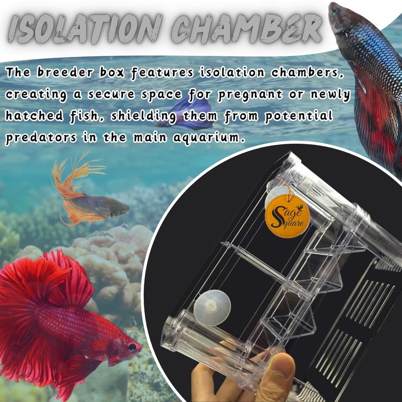 Sage Square Fish Isolation Chamber, Safe and Effective Solution for Separating Fish in Aquariums, Tank Divider, Quarantine Tank, Partitioned Aquarium Chamber, Aquarium Protection Zone - Image 2