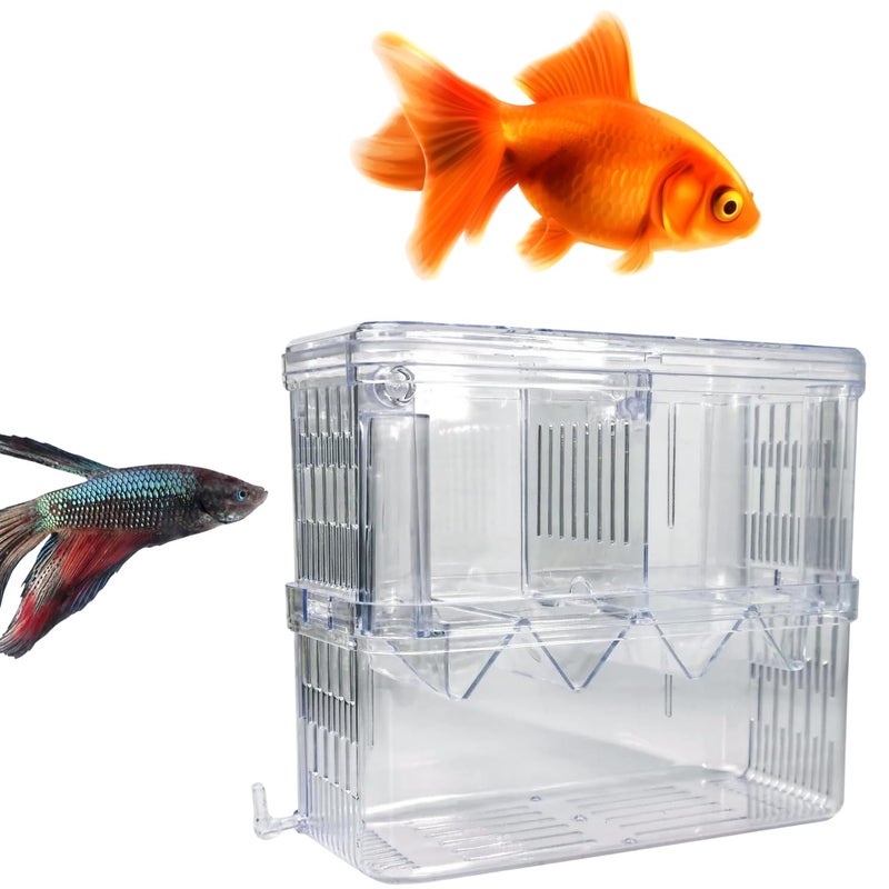 Sage Square Fish Isolation Chamber, Safe and Effective Solution for Separating Fish in Aquariums, Tank Divider, Quarantine Tank, Partitioned Aquarium Chamber, Aquarium Protection Zone - Image 1