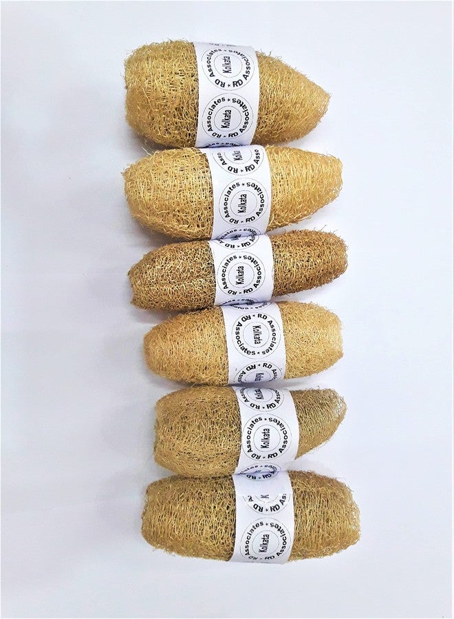 rdassociates ® Natural Loufah/loofah Body Scrubber -Ridge Ground Fiber Organic, Skin Friendly, Light Weight, Chemical free, Eco Friendly for Bathing, Men, Women (3-4 cm, Pack of 6) - Image 2