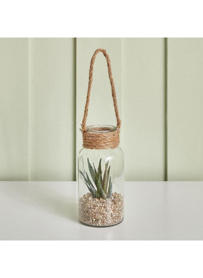 Succulent Plant In Rope Lantern 8X16.3 Cm - pzsku/Z74904047C1A9F9CD0C2AZ/45/_/1720280784/534c97da-0d4e-4e77-9b44-6dd1f01efbea