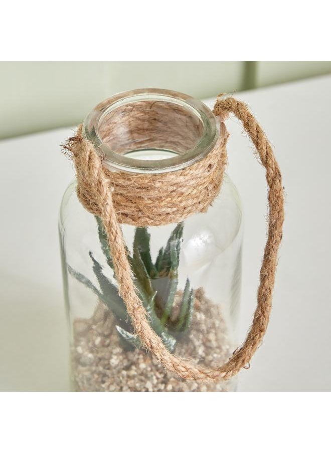 Succulent Plant In Rope Lantern 8X16.3 Cm - pzsku/Z74904047C1A9F9CD0C2AZ/45/_/1720280785/211e42b7-d08c-4e98-bd53-3da0d0c2ac35