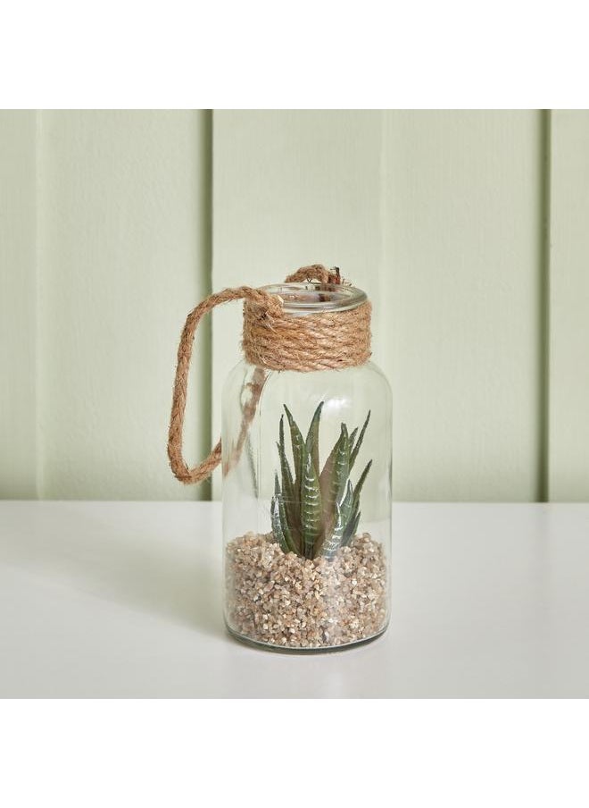 Succulent Plant In Rope Lantern 8X16.3 Cm - pzsku/Z74904047C1A9F9CD0C2AZ/45/_/1720280786/51a342fd-20c2-4c48-872c-d15186e3dbea