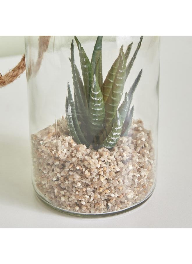 Succulent Plant In Rope Lantern 8X16.3 Cm - pzsku/Z74904047C1A9F9CD0C2AZ/45/_/1720280786/6ebb4f1f-2f64-45bb-8a0f-25e5dd9c5934