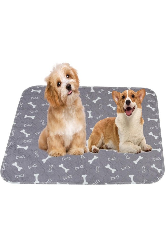 MeiAid Pee Mats with Pheromones, Durable Leak-Proof & Anti-Slip Pet Training Mats for Dogs Indoor Use (Large：28" × 32") - Image 1