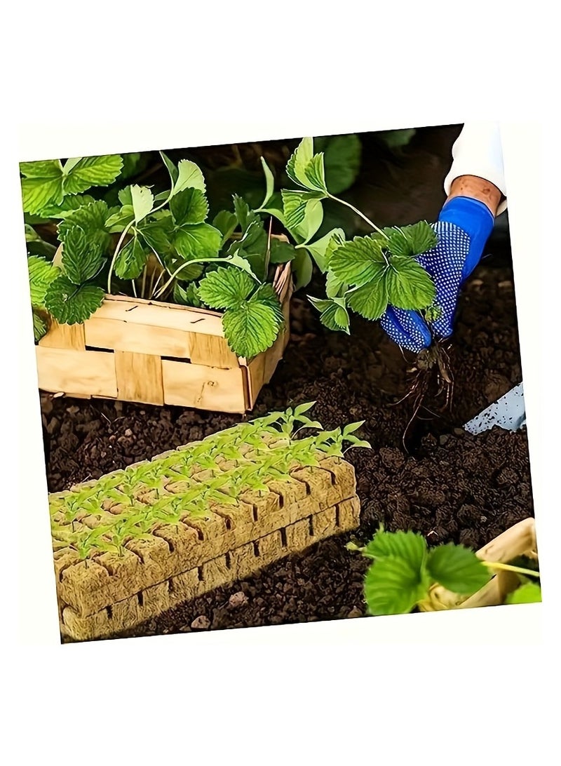 100 عبوة من مكعبات نمو النبات من الصوف الصخري لإنبات البذور والشتلات المائية ، مكعبات كاتب الصوف الصخري القابلة للتنفس لقطع تكاثر النبات ، كتل تربة الحديقة للاحتباس الحراري - Image 5