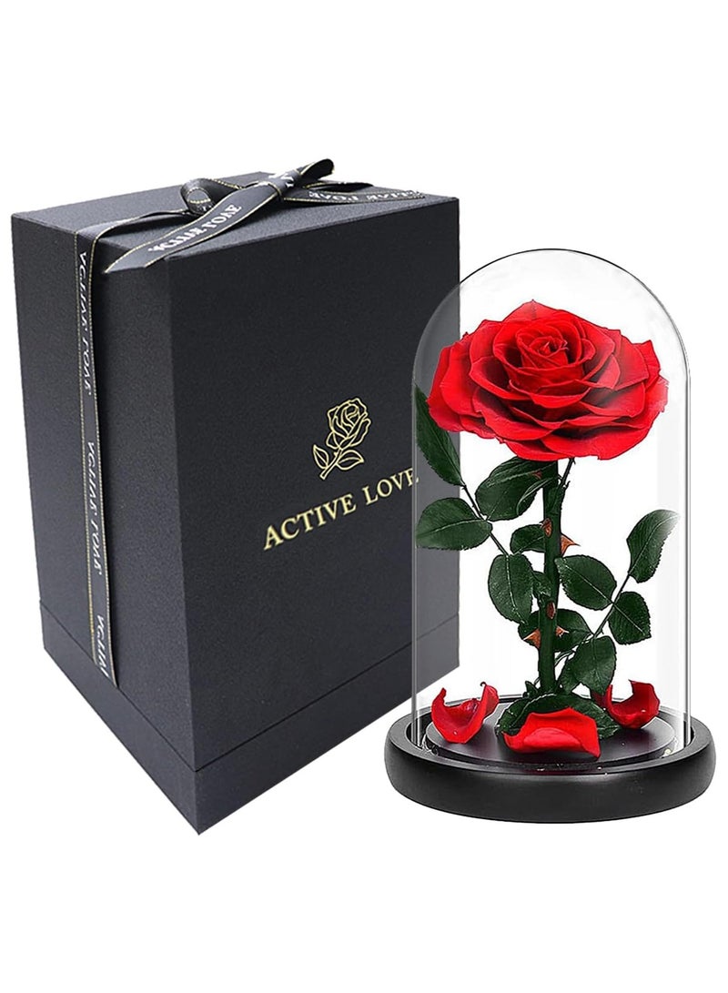 معرض الأعياد وردة كبيرة الحجم إلى الأبد، وردة أبدية حقيقية في قبة زجاجية محفوظة مع صندوق هدايا فاخر وحقيبة - هدية لعيد الحب وعيد الأم والذكرى السنوية للزفاف وعيد الميلاد، 22 × 14 × 14 سم أحمر - Image 1