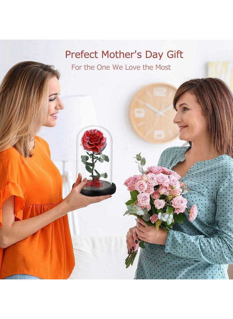 معرض الأعياد وردة كبيرة الحجم إلى الأبد، وردة أبدية حقيقية في قبة زجاجية محفوظة مع صندوق هدايا فاخر وحقيبة - هدية لعيد الحب وعيد الأم والذكرى السنوية للزفاف وعيد الميلاد، 22 × 14 × 14 سم أحمر - Image 5