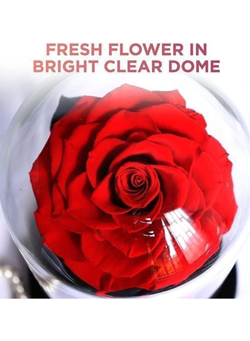 معرض الأعياد وردة كبيرة الحجم إلى الأبد، وردة أبدية حقيقية في قبة زجاجية محفوظة مع صندوق هدايا فاخر وحقيبة - هدية لعيد الحب وعيد الأم والذكرى السنوية للزفاف وعيد الميلاد، 22 × 14 × 14 سم أحمر - Image 3