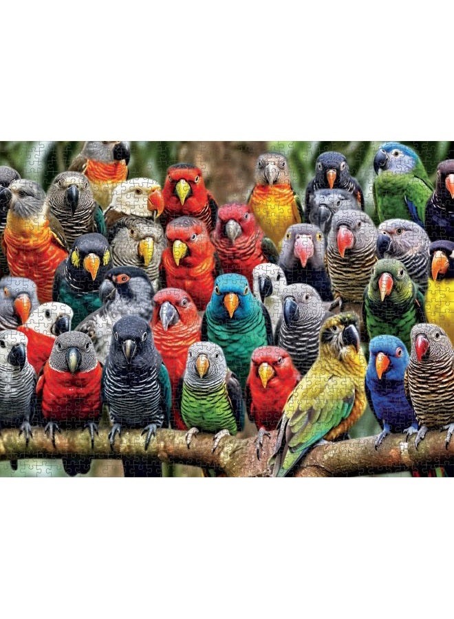 Cross & Glory Kaleidoscope of Feathers: Premium 1000-Piece Jigsaw Puzzle for Adults - Unique Bird Artwork - Top-Tier Challenging Puzzles for Cognitive Workout - Eco-Friendly - Image 5