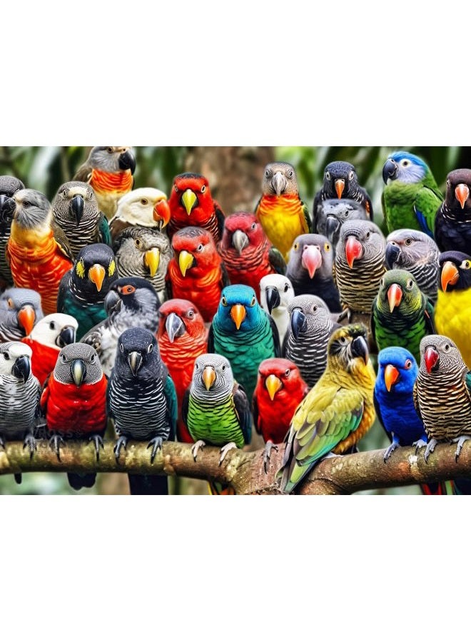 Cross & Glory Kaleidoscope of Feathers: Premium 1000-Piece Jigsaw Puzzle for Adults - Unique Bird Artwork - Top-Tier Challenging Puzzles for Cognitive Workout - Eco-Friendly - Image 1