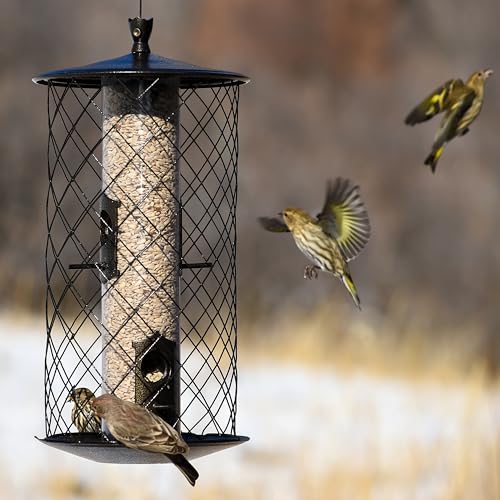 Perky-Pet 735 The Preserve Wild Bird Feeder - Image 3