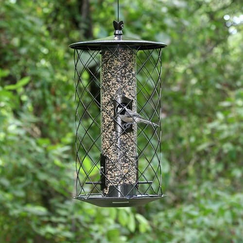 Perky-Pet 735 The Preserve Wild Bird Feeder - Image 5