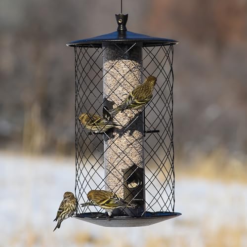 Perky-Pet 735 The Preserve Wild Bird Feeder - Image 4