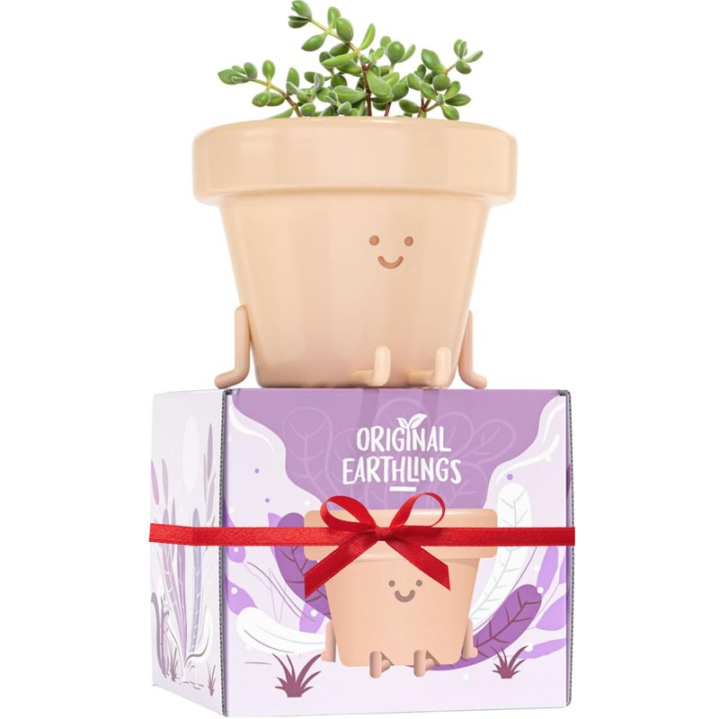 Original Earthlings Legs Out Pot - 4 Inch Cute Plant Pot - Plastic Funny Planter with Drainage, Unique Cactus Plant Lover Gift, Succulent Face Flower Pot, Desk Plant, Table Top Decor, & Home Gifts - Image 1
