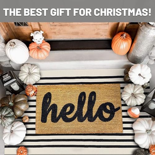 IOHOUZE Black Beige Striped Rug -2.3'x3.6' Front Door Rugs Outdoor, Small Washable Area Rug for Front Porch, Spring Summer Welcome Mats Outdoor Indoor, Doormat for Entryway Porch Entrance - Image 2