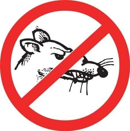 Stickers 10 No Rats Hardhat Stickers T-74 by Stickers - Image 4