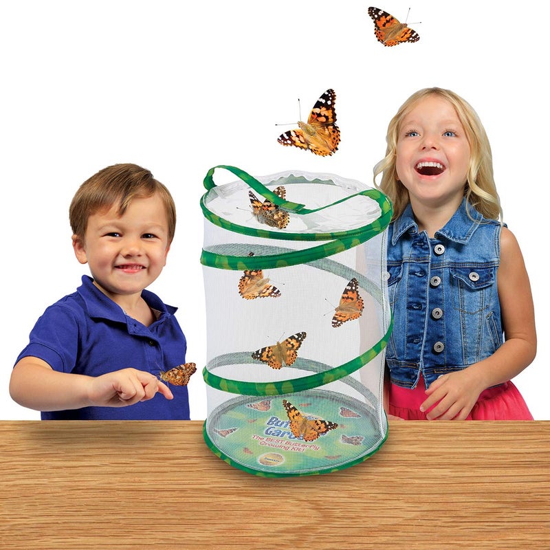 Insect Lore Butterfly Garden Habitat - Washable, Reusable, Folds Flat - Medium 12 Inch Butterfly Growing Habitat - Image 2