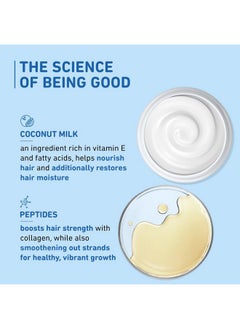 Plum Coconut Shampoo For Dull Hair With Coconut Milk And Peptides For Soft & Silky Hair I 22X Softer Hair I Shampoo For Women And Men | 500 Ml  - Image 3