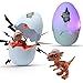Wekity Hatching Eggs Dinosaur ToysDinosaur EggsLED Light and SoundCreative Educational Toy Party Favor Easter Birthday Gift for Kid Ceratosauru - Image 2