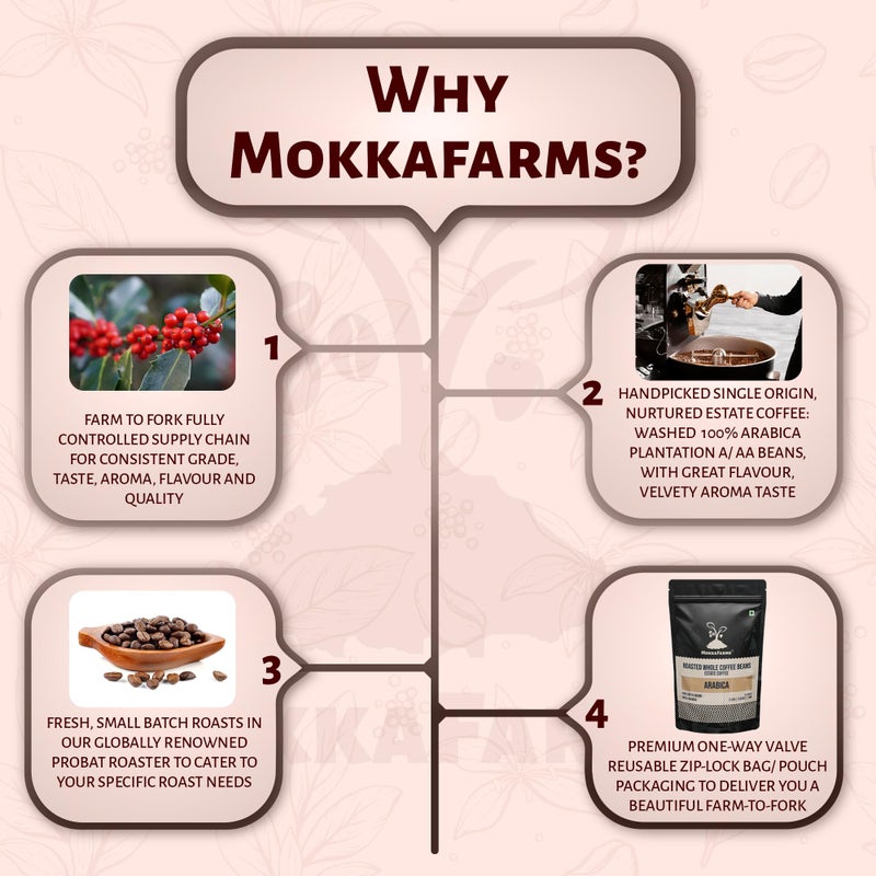MOKKAFARMS قهوة موكا فارمز الممتازة 100% أرابيكا نقية - آيرو بريس - تحميص متوسط داكن | طازجة ومنشأ واحد | حبوب مزرعة A/AA | غنية، لذيذة وعطرية | كيس بسحاب مع صمام أحادي الاتجاه - Image 4
