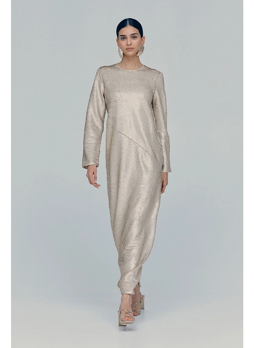 H&M Sequined Maxi Dress