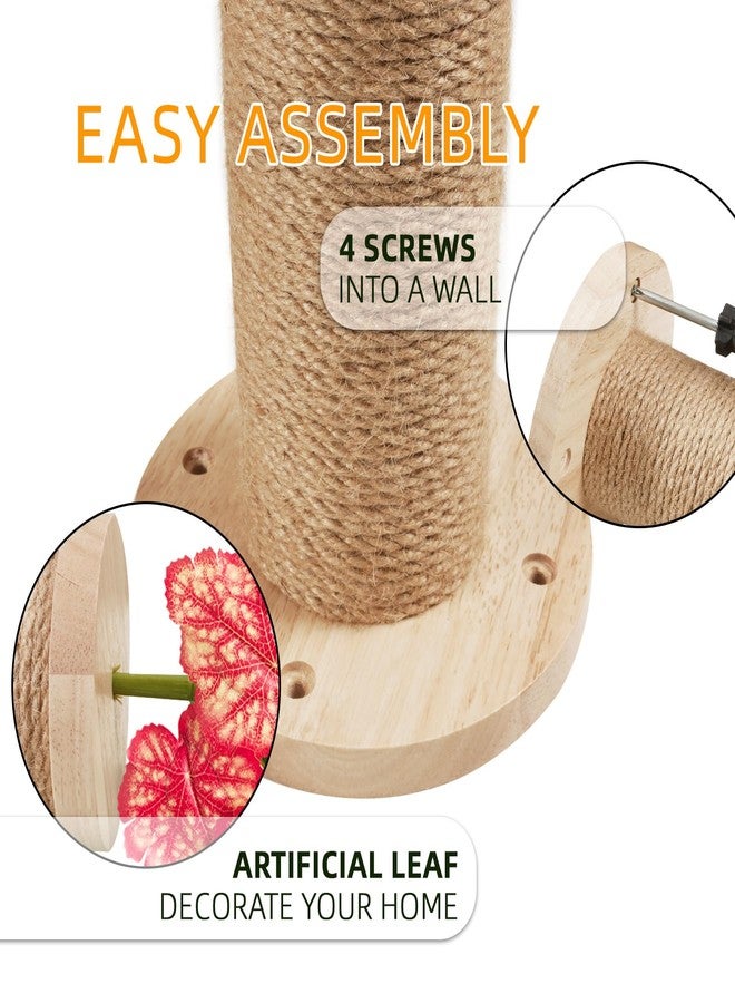 Meowoou 2PCS Cat Wall Shelves, 11.8 Inch Steps, Cats Wall Furniture Stairs for Wall-Mounted with Jute Scratching Cats Shelf for Most Kitten, Large Cat Indoor for Climbing, Scratch - Image 3