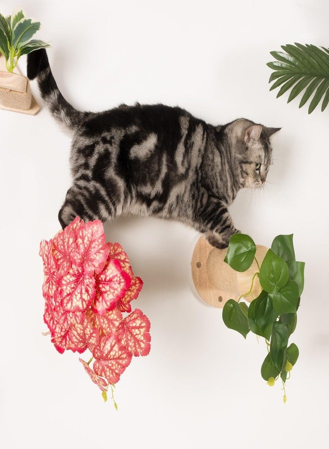 Meowoou 2PCS Cat Wall Shelves, 11.8 Inch Steps, Cats Wall Furniture Stairs for Wall-Mounted with Jute Scratching Cats Shelf for Most Kitten, Large Cat Indoor for Climbing, Scratch - Image 5