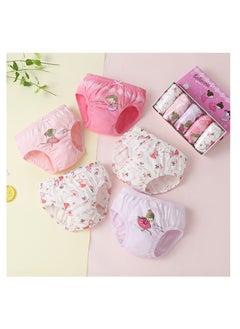 Girls Underwear Toddler Girls Cotton Pantie Little Girls Soft Cotton Panty Pack of 5 - pzsku/Z749F0EA303CC20BAEC26Z/45/_/1715455602/3a17f1dc-e8cf-4159-99dd-95464bd34211