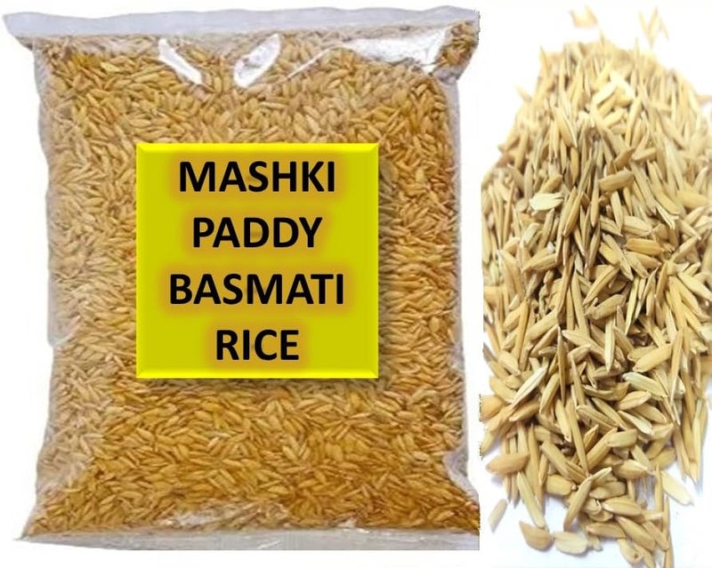 MASHKI Raw Basmatirice Paddy for Birds Food All Life Stage Birds Nellu Large Size Vadlu for Bird Seed (180) - Image 1