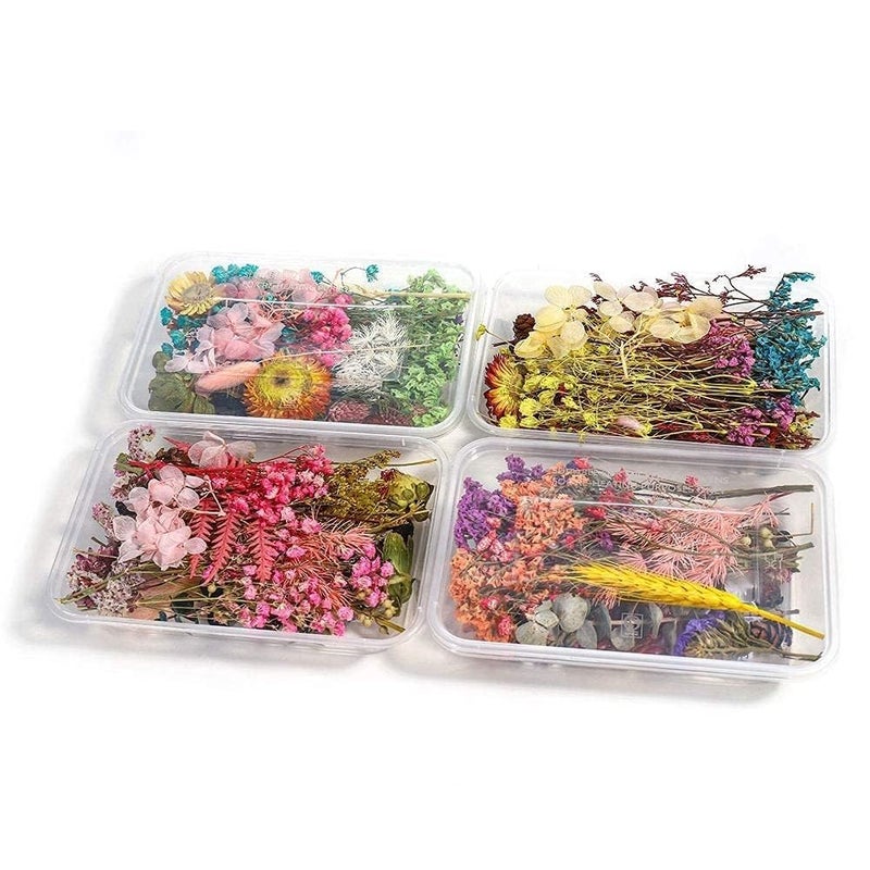 deziine DEZIINE Natural Real Dried Flowers for Art Craft Mixed Soap Candle Scrapbook DIY Resin Tray Jewellery Pendant Random Box Multicolour 2 Box  - Image 1