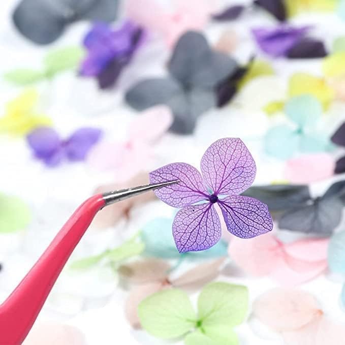 deziine DEZIINE Natural Real Dried Flowers for Art Craft Mixed Soap Candle Scrapbook DIY Resin Tray Jewellery Pendant Random Box Multicolour 2 Box  - Image 5
